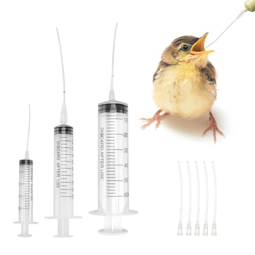 11 Stück Spritze mit Schlauch,Füttern Spritzen 10ml,10ml Spritze,Dosierspritze,Plastikspritze,Spritzen Set,für Kanarienvogel Parrot Tauben Usw Bird Haustiere Jungvögel Feeder,Wiederverwendbar Zubehör 11 Stück Spritze mit Schlauch,Füttern Spritzen 10ml,10ml Spritze,Dosierspritze,Plastikspritze,Spritzen Set,für Kanarienvogel Parrot Tauben Usw Bird Haustiere Jungvögel Feeder,Wiederverwendbar Zubehör von BinXiaoQin
