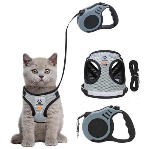 Bindokun Katzengeschirr mit Leine Ausbruchsicher, Katzen Geschirr Set Katzengeschirr Ausbruchsicher für Katze Hunde mit 5 m/16,4 Fuß Katzenleine Verstellbar Katzenweste (M) von Bindokun
