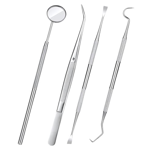 Bindokun Zahnsteinentferner Hund 4PC, Zahnstein Entferner für Hunde, Zahnsteinentferner Set für Hunde und Katzen, Zahnreinigung Set, Scaler für Hunde, Zahnsteinentferner doppelseitig aus Edelstahl von Bindokun