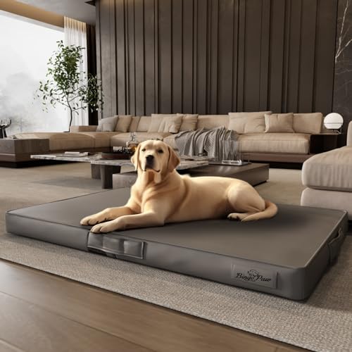 BingoPaw 3D Hundebett Faltbar Hundematratze: XXXL Orthopädisches Hundebett aus PU Weich Leder Wasserdicht Hunde Kissen Matratze Schlafplatzfür Grosse Hunde Grau 130x84x9 cm BingoPaw 3D Hundebett Faltbar Hundematratze: XXXL Orthopädisches Hundebett aus PU Weich Leder Wasserdicht Hunde Kissen Matratze Schlafplatzfür Grosse Hunde Grau 130x84x9 cm von BingoPaw