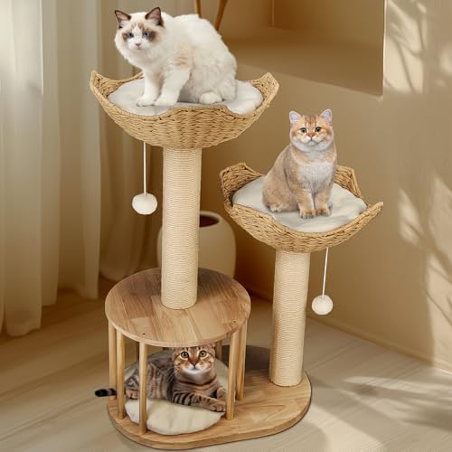 BingoPaw Kratzbaum Modern Katzenbaum Holz: 99cm Hoch Stabiler Katzenkratzbaum mit 2 Katzenkorb Plüschball Sisalsäule Katzenhöhle, Luxuriöser Kletterbaum für Katzen alle Lebensphase BingoPaw Kratzbaum Modern Katzenbaum Holz: 99cm Hoch Stabiler Katzenkratzbaum mit 2 Katzenkorb Plüschball Sisalsäule Katzenhöhle, Luxuriöser Kletterbaum für Katzen alle Lebensphase von BingoPaw