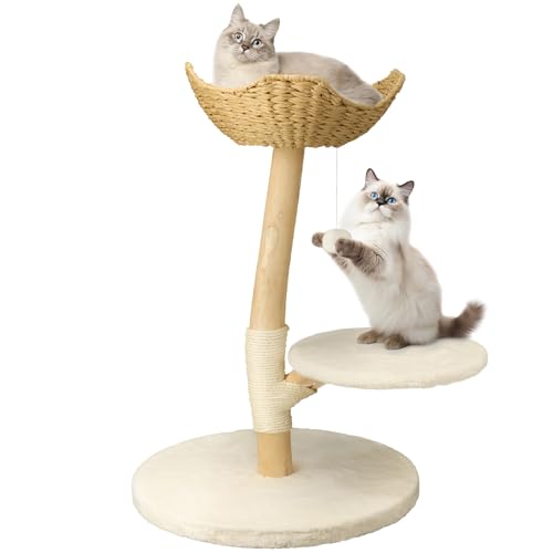 BingoPaw Kratzbaum Modern Katzenbaum Holz: Luxuriöser katzenkratzbaum 91cm hoch Kletterbaum mit Naturstamm Katzenkorb Plattform Plüschball, mehrstöckig Katzenmöbel BingoPaw Kratzbaum Modern Katzenbaum Holz: Luxuriöser katzenkratzbaum 91cm hoch Kletterbaum mit Naturstamm Katzenkorb Plattform Plüschball, mehrstöckig Katzenmöbel von BingoPaw