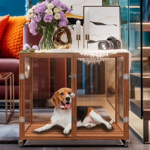 BingoPaw Luxus Transparent Hundekäfig Indoor: Hundebox Wohnzimmer aus gehärtetes Glas und stabil Aluminiumrahmen, Hundetransportbox mittelgroße Hunde L 90x61x75.5 cm von BingoPaw