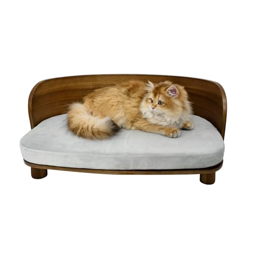 BingoPaw Modern Katzensofa groß Katzen, Holzgestell mit Katzenbett, Elegante Haustiersofa mit Rückenlehne, 66x38 cm von BingoPaw