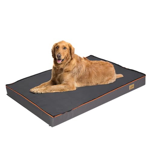 BingoPaw Orthopädisches Hundebett aus Memory-Schaum, extra groß, grau, mit orangefarbenem Rand, waschbar und wasserabweisend, Größe 2XL (120 x 90 cm) von BingoPaw
