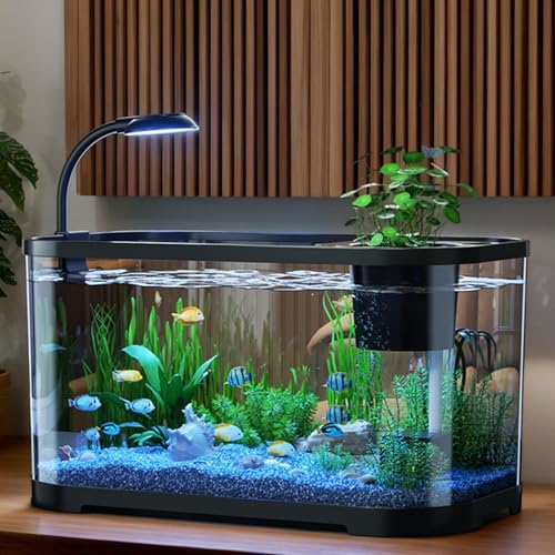 Aquarium Starter Set | Desktop-Aquarium Set | Tischaquarium Für Anfänger | Dekoratives Schreibtischbecken | Für Kampffische, Schildkröten & Frösche | 30x20x19cm | 2 Farben Aquarium Starter Set | Desktop-Aquarium Set | Tischaquarium Für Anfänger | Dekoratives Schreibtischbecken | Für Kampffische, Schildkröten & Frösche | 30x20x19cm | 2 Farben von Biniveil
