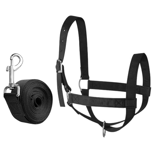 Biniveil Halter - Führungs Halter und Führstrick - Show Vieh Strapazierfähiges Nylon Verstellbar für Ranch Bauernhof Grünland Ziege Fohlen Lamm von Biniveil