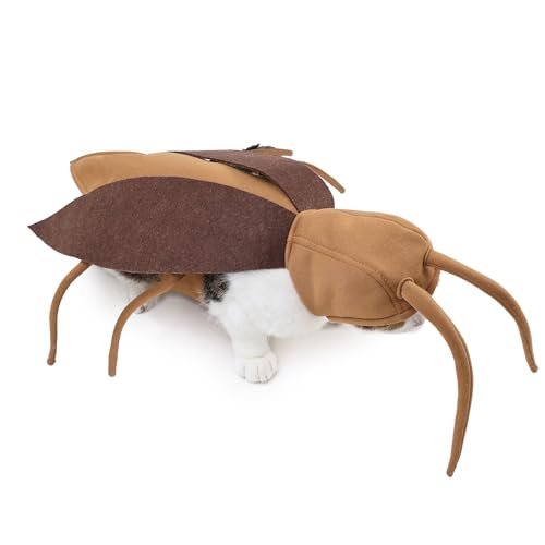 Biniveil Kostüme für Katzen | Lustiges Kätzchen-Umhang-Bastelset, realistisches, atmungsaktives Bekleidungszubehör für Cosplay, Outfit, Kätzchen, Hund, Urlaub, Partys, Zuhause Biniveil Kostüme für Katzen | Lustiges Kätzchen-Umhang-Bastelset, realistisches, atmungsaktives Bekleidungszubehör für Cosplay, Outfit, Kätzchen, Hund, Urlaub, Partys, Zuhause von Biniveil