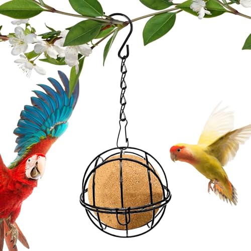 Biniveil Vogelfutterbälle,Wildvogelfutterbälle | Garten-Vogelfutterstation - Talgball-Vogelfutterspender für den Außenbereich, Talgball-Futterspender, stabile Gartendekoration, Vogelfutterspender für Biniveil Vogelfutterbälle,Wildvogelfutterbälle | Garten-Vogelfutterstation - Talgball-Vogelfutterspender für den Außenbereich, Talgball-Futterspender, stabile Gartendekoration, Vogelfutterspender für von Biniveil