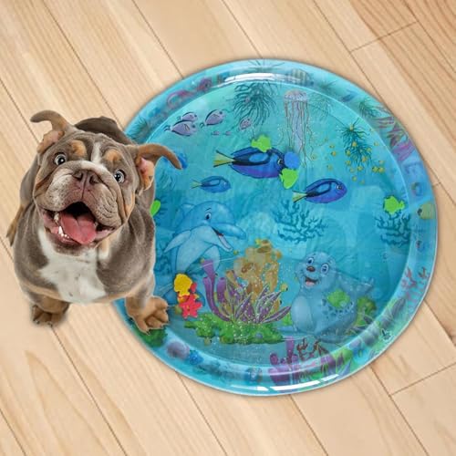 Biniveil Wasser Sensory Matte | Sensory Wasser Spielmatte | Aufblasbare Wasser-Matte | Interaktive Katze Spielzeug Wasser-Pad | Sensory Entwicklung Wasser Spielmatte | Sommer Spielzeug Biniveil Wasser Sensory Matte | Sensory Wasser Spielmatte | Aufblasbare Wasser-Matte | Interaktive Katze Spielzeug Wasser-Pad | Sensory Entwicklung Wasser Spielmatte | Sommer Spielzeug von Biniveil
