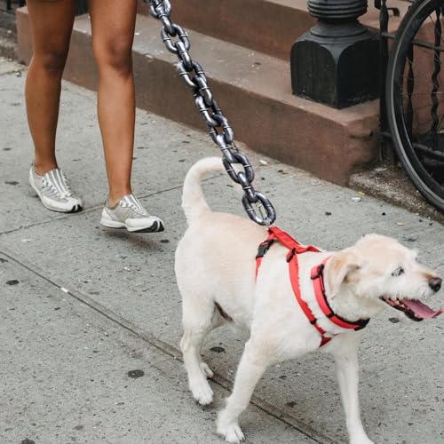Hundeleine Kette | Lustig Haustierleinen Für Hunde | Hundeleine Große Hunde | Lustige Kettenhundeleinen | Welpenketten Großes Hundese | Hundetrainingsleinen Für Alle Arten Von Hunden Hundeleine Kette | Lustig Haustierleinen Für Hunde | Hundeleine Große Hunde | Lustige Kettenhundeleinen | Welpenketten Großes Hundese | Hundetrainingsleinen Für Alle Arten Von Hunden von Biniveil