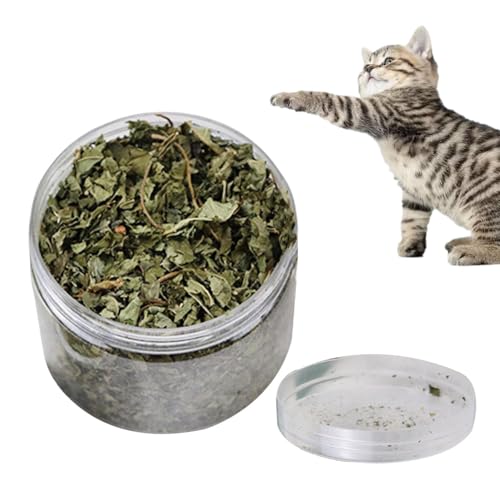 Katzenminze Blätter Getrocknet | Natürliche Blätter Katzenminze | Blätter Katzenminze Leckerbissen Für Die Zahnreinigung | Katzenminze Loses Katzenkraut | Katzensnacks Katzenminze Blätter Getrocknet | Natürliche Blätter Katzenminze | Blätter Katzenminze Leckerbissen Für Die Zahnreinigung | Katzenminze Loses Katzenkraut | Katzensnacks von Biniveil