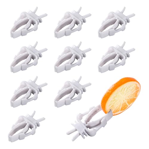 10 Stück Vogelkäfig Futterclips Vogelkäfig Futterhalter Papagei Obst Gemüse Halterung Haustier Feeder Clip Zubehör für Sittiche Wellensittiche Kakadu Ara Nymphensittiche und andere Tiere 10 Stück Vogelkäfig Futterclips Vogelkäfig Futterhalter Papagei Obst Gemüse Halterung Haustier Feeder Clip Zubehör für Sittiche Wellensittiche Kakadu Ara Nymphensittiche und andere Tiere von Binxus