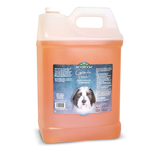 Bio-Groom Groom 'N Fresh Dog and Cat Conditioning Shampoo, 2-1/2-Gallon von Bio-groom