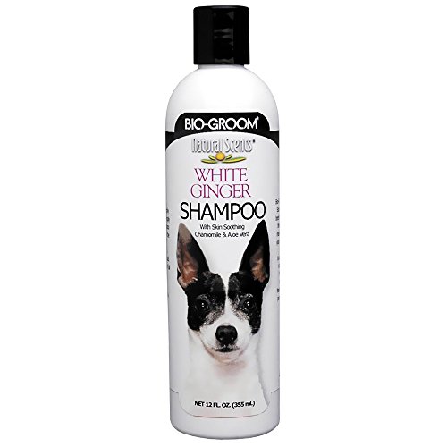 BIO-GROOM - White Ginger Shampoo - Hundeshampoo mit natürlichem Ingweraroma - Mit Aloe Vera, Kamille und Sojaprotein - Erfrischender Duft - Schäumt schnell - Einfaches Ausspülen - 354 ml von Bio-groom
