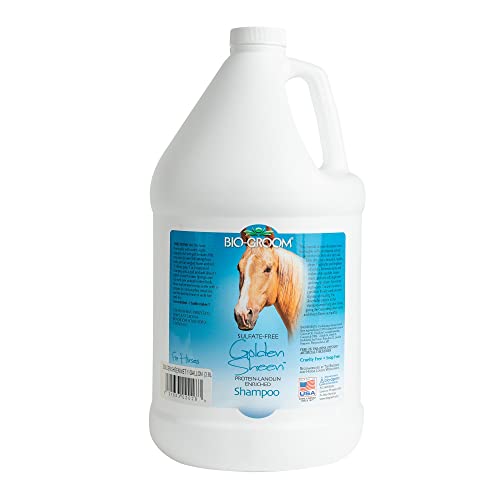 Bio-groom - Golden Glanz Protein Lanolin Pferde Shampoo - Auf Kokosnussölbasis - Verhindert Trockenheit und Schuppenbildung - Aus 100% nachwachsenden und abbaubaren Quellen - 3.8 L von Bio-groom