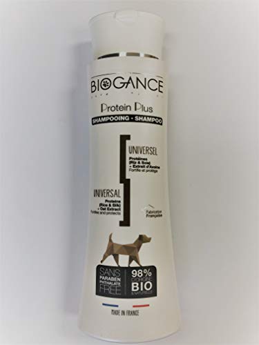 Biogance BGPP250 Hunde Shampoo, Protein Plus, 250 ml von Biogance