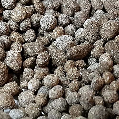 Biohome Biogravel ist ein neues Filtermedium für Aquarienfilter; Filtermaterial auch für beengte Verhältnisse geeignet - Bio.Biogravel.1kg Biohome Biogravel ist ein neues Filtermedium für Aquarienfilter; Filtermaterial auch für beengte Verhältnisse geeignet - Bio.Biogravel.1kg von Biohome