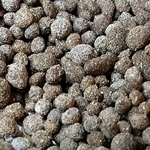 Biohome Biogravel ist ein neues Filtermedium für Aquarienfilter; Filtermaterial auch für beengte Verhältnisse geeignet - Bio.Biogravel.05kg von Biohome