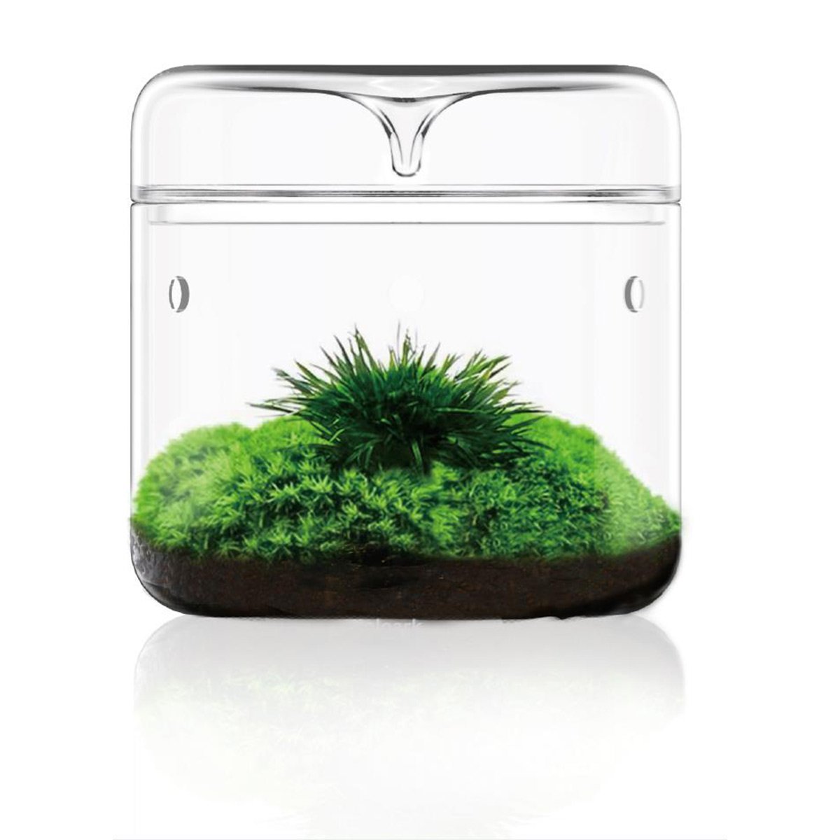 Bioloark Luji Glass Cup MY-120 Bioloark Luji Glass Cup MY-120 von Bioloark