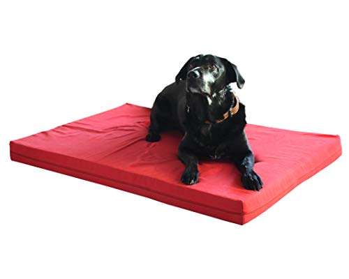Luxus Hundebett BionaComfort mit Viscoschaum (Öko BW Teddy weiß, 60 x 40 x 8 cm) von Biona