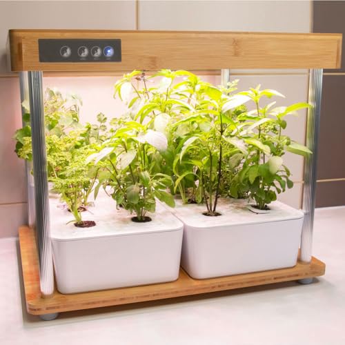 Bioponis Bamboo 2 – Hydrokultur-Gemüsegarten für Kräuter, 16 Anbauplätze Bioponis Bamboo 2 – Hydrokultur-Gemüsegarten für Kräuter, 16 Anbauplätze von Bioponis