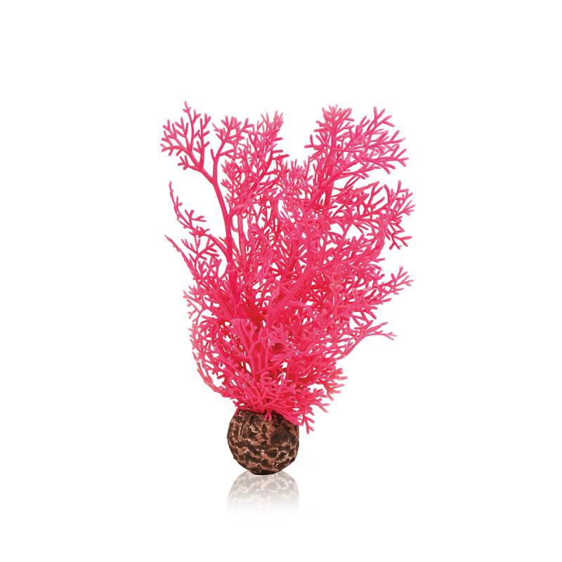 biOrb Hornkoralle S pink von Biorb