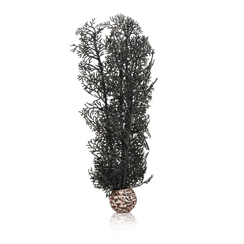 biOrb Hornkoralle schwarz M von Biorb