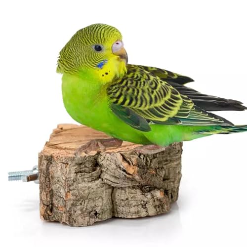 Kauspielzeug für Vögel, Korkregal für kleine Papageien, Naturspielzeug aus Korkeichenzweigen, Sitzstange zum Sitzen, Kratzen und Picken, Korken, Beet für Wellensittiche, Kanarienvögel und andere Vögel von Bioterr
