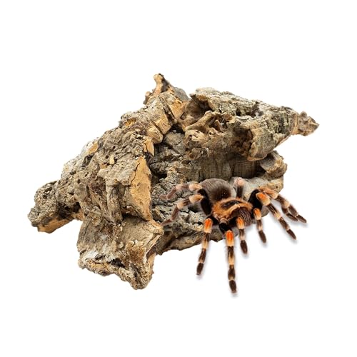 Korkstecklinge | Korkstücke | Korkrinde | Tierversteck | Pflaster für Terrarien, für Tiere, Reptilien, Amphibien, Vögel, Nagetiere und für dekorative Arrangements, DIY | 250g | Substrat für Orchideen von Bioterr