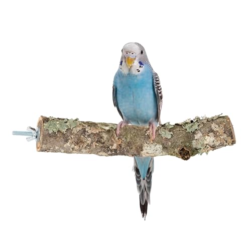 Vogelbarsch aus Kork | Eine Sitzstange zum Sitzen, Knabbern, Knabbern | Naturspielzeug aus Korkeichenzweigen für Wellensittiche, Kanarienvögel, Papageien, Vögel | Gereinigt von Bioterr