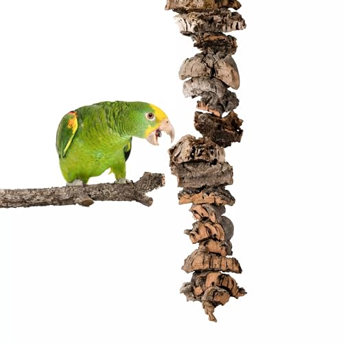 Vogelbeißring, Korkbeißring für Papageien, Naturspielzeug aus Korkeichenzweigen, AST zum Beißen und Picken (XL) von Bioterr