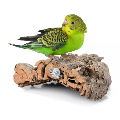 Vogelbeißring, Korkbeißring für kleine und mittelgroße Papageien, Naturspielzeug aus Korkeichenzweigen, Sitzstange zum Kratzen und Picken, Kork für Wellensittiche, Kanarienvögel und andere Vögel (S) von Bioterr