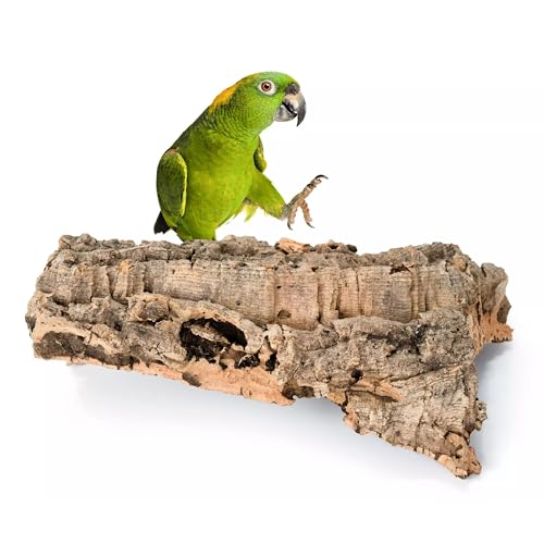 Vogelbeißring, Korkbeißring für kleine und mittelgroße Papageien, Naturspielzeug aus Korkeichenzweigen, Sitzstange zum Kratzen und Picken, Kork für Wellensittiche, Kanarienvögel und andere Vögel (M) von Bioterr