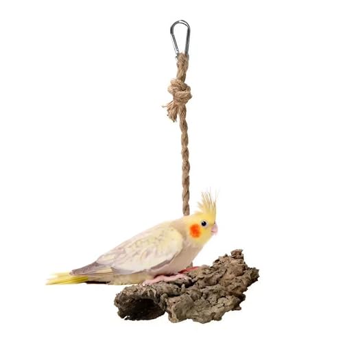 Vogelschaukel, Korkschaukel für kleine und mittelgroße Papageien, Naturspielzeug aus Korkeichenzweigen, Klappe zum Sitzen, Beißen und Krallenschleifen von Bioterr