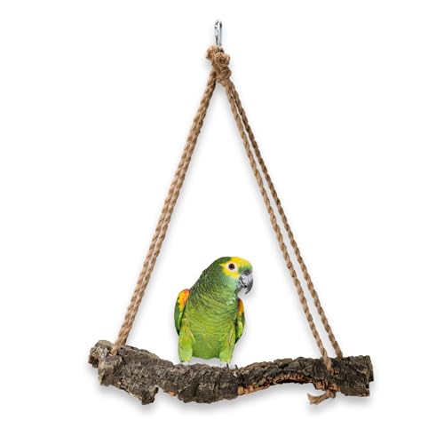 Vogelschaukel, Korkschaukel für mittlere und große Papageien, Naturspielzeug aus Korkeichenzweigen, AST zum Sitzen, Beißen und Krallenschleifen, Schaukel, XXL von Bioterr
