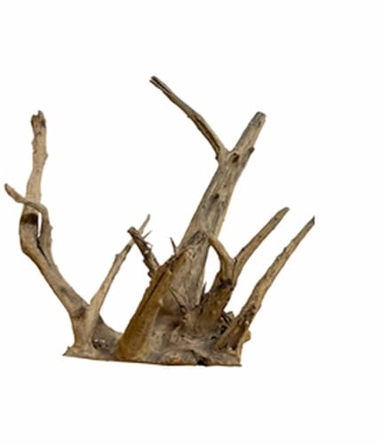 Biotope Aquatics Ltd Aquarium-Holz, strukturierte Baumwurzel, Aquarium-Treibholz-Dekoration, verschiedene Größen (klein (10–20 cm) von BiotopeAquatics
