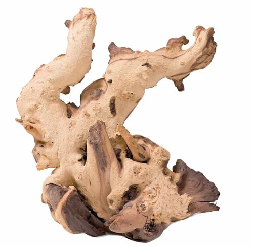 Biotope Aquatics Ltd Aquarium sinkbares Mopani Treibholz – verschiedene Größen – natürlicher Moorbaum, Holzdekoration, Landschaftsbau, Java-Farn oder Moos (XL (XL) 40 cm +) von BiotopeAquatics