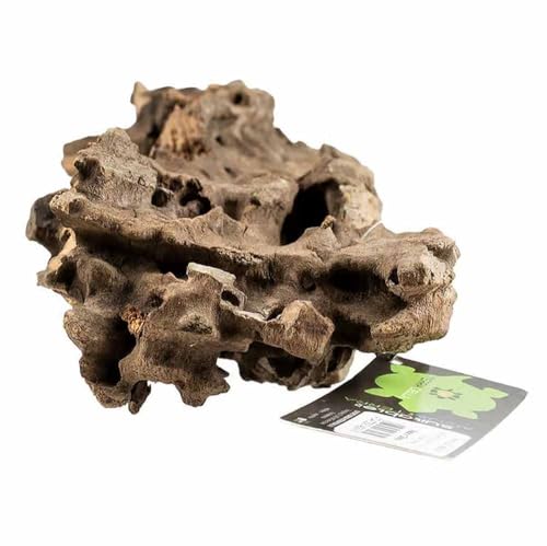 Biotope Aquatics Ltd - Natürliches Wabenholz für Aquarien, verschiedene Größen, Dekoration für Fische oder Garnelen, Loch-Cholla-Holzwurzel (15–25 cm Stück (mittel)) von BiotopeAquatics