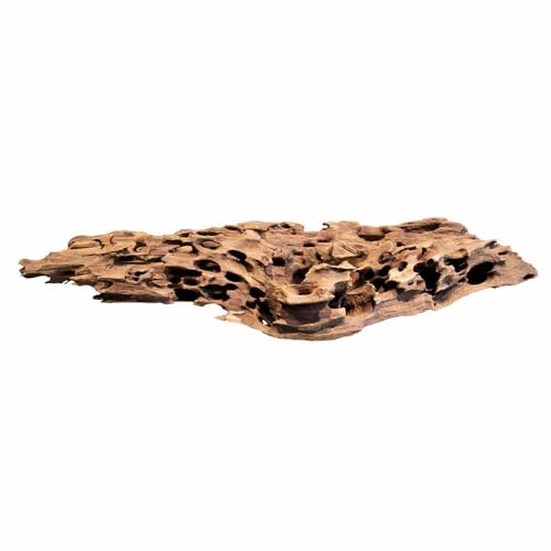 Biotope Aquatics Ltd - Natürliches Wabenholz für Aquarien, verschiedene Größen, Dekoration für Fische oder Garnelen, Loch-Cholla-Holzwurzel (45–58 cm Stück (extra groß/XL) von BiotopeAquatics