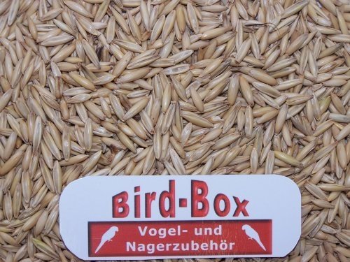 Bird-Box Derby-Hafer Inhalt 2,5 kg von Bird-Box