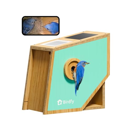 Birdfy Nest Polygon Brückenhaus mit Kamera von Birdfy