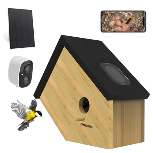 Birdkiss Intelligentes Vogelhaus mit Kamera, solarbetrieben, 3MP HD Live View, kleines Vogelhaus für draußen, Vogelnist- und Schlüpfen, ideales Geschenk für den Außenbereich für kleine Vogel und Birdkiss Intelligentes Vogelhaus mit Kamera, solarbetrieben, 3MP HD Live View, kleines Vogelhaus für draußen, Vogelnist- und Schlüpfen, ideales Geschenk für den Außenbereich für kleine Vogel und von Birdkiss