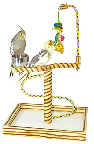 Birds LOVE Javan Tigerschwanz-Ständer mit Tasse, Spielzeug-Aufhänger und Spielzeug, klein von Birds LOVE