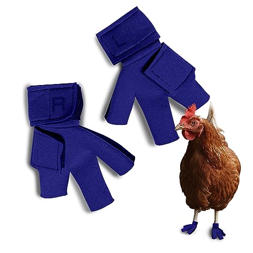 Birdy Bootie Huhnschuhe für verletzte Füße – schützende Neoprenschuhe für Hühner, offenes Zehen-Design zur Linderung von Hummelfüßen, hergestellt in den USA, Standard, max. 7,6 cm Innenbreite, Birdy Bootie Huhnschuhe für verletzte Füße – schützende Neoprenschuhe für Hühner, offenes Zehen-Design zur Linderung von Hummelfüßen, hergestellt in den USA, Standard, max. 7,6 cm Innenbreite, von Birdy Bootie