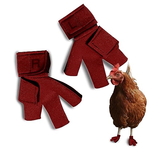 Birdy Bootie Vogelschutzschuhe, Hühnerschuhe für Hühner und Hahn, Standard-Rassen, Hühnerpaar (7,6 cm max. Innenbreite), Rot von Birdy Bootie