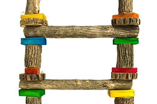 Birrdeeez Papagei Ladder 7 Step All Wood Vogelspielzeug von Birrdeeez