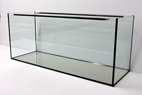 Aquarium Glasbecken 100x50x50 cm, rechteck, 250 Liter Becken … von Birsppy