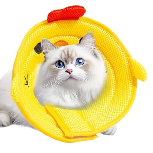 Birtern Katzenhalsbänder | Katzenhalsband | Halsabdeckung gegen Lecken von Wunden für große, mittelgroße und kleine Tiere Birtern Katzenhalsbänder | Katzenhalsband | Halsabdeckung gegen Lecken von Wunden für große, mittelgroße und kleine Tiere von Birtern
