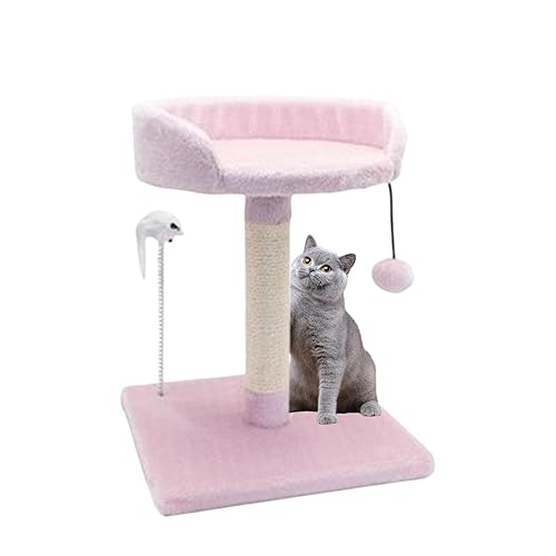Birtern Katzenkletterbaum - Katzenkratzturm für Hauskatzen,Gemütlicher Mini-Katzenpfleger, interaktives Spielzeug für schlafende und spielende Kätzchen und Katzen von Birtern